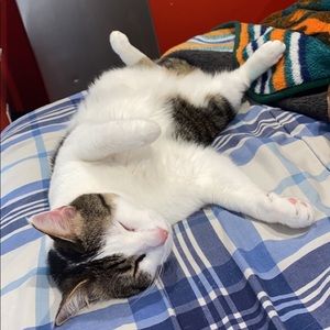 Meet your Posher, Omar